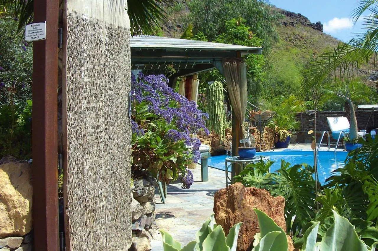 Apartment Holiday Accomodations Jardin Botanico Baranco De Ayagaures - Lpa03012-Ayb Maspalomas